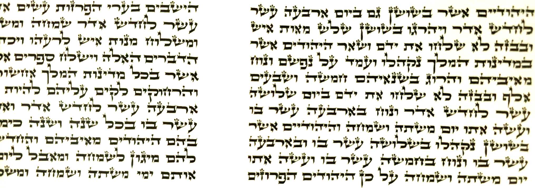 Megillat Esther - Beit Yosef (11 Lines)